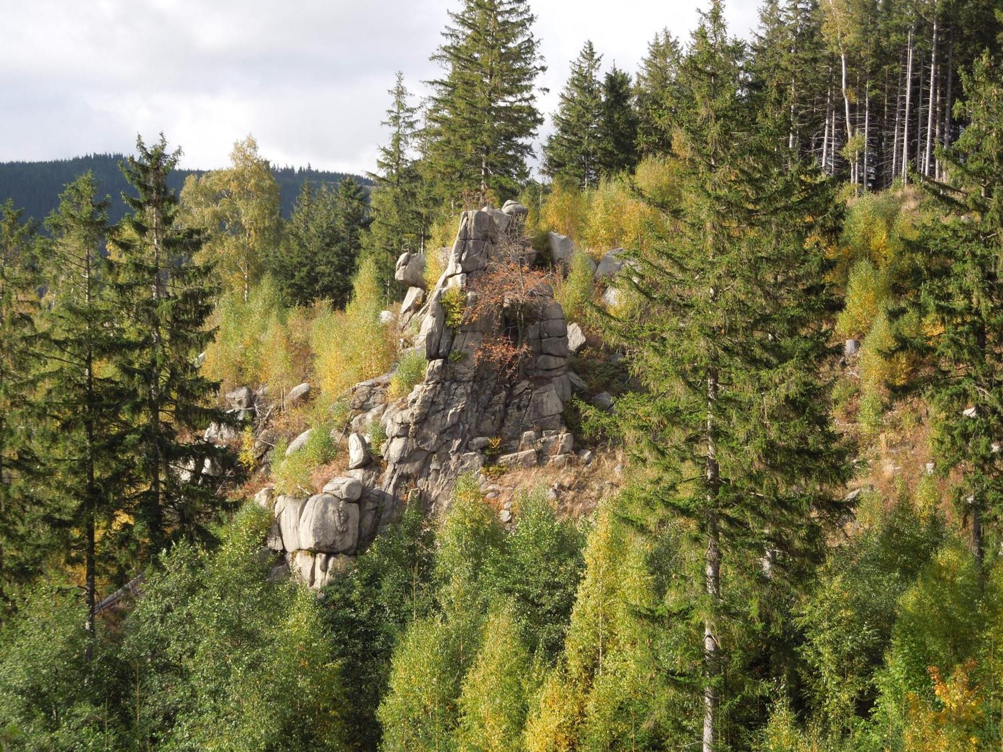 Blockhaus Bodefall Braunlage Eksteriør billede