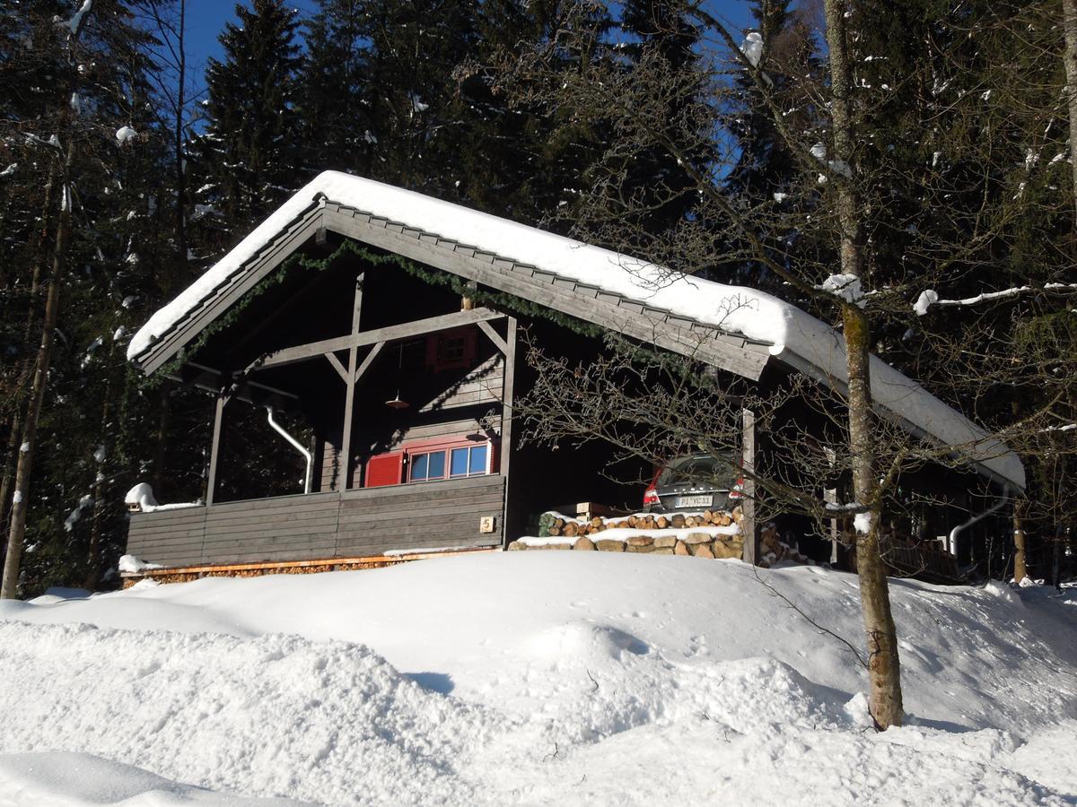 Blockhaus Bodefall Braunlage Eksteriør billede