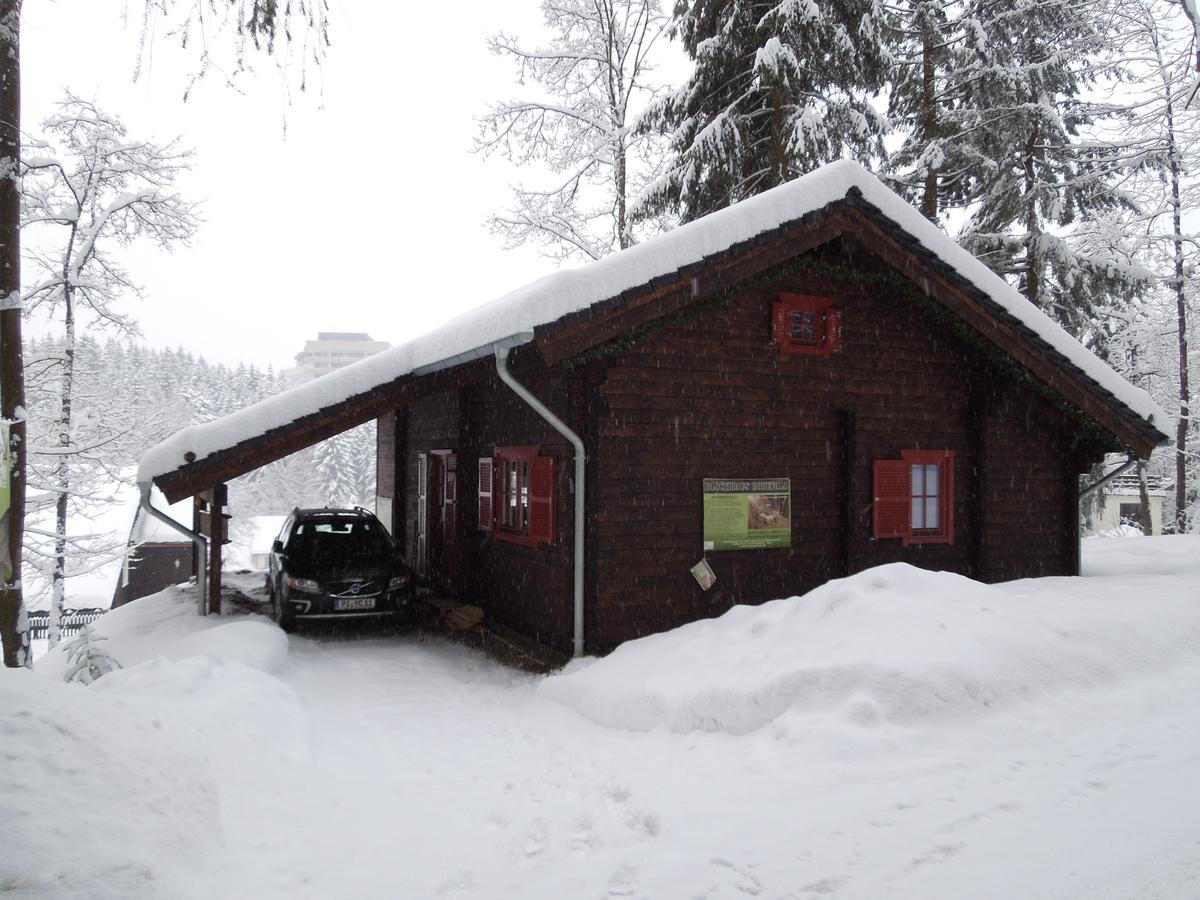 Blockhaus Bodefall Braunlage Eksteriør billede